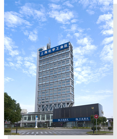 上海化學工業區進出口有限公司